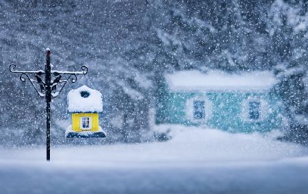 Snowy Wonderland