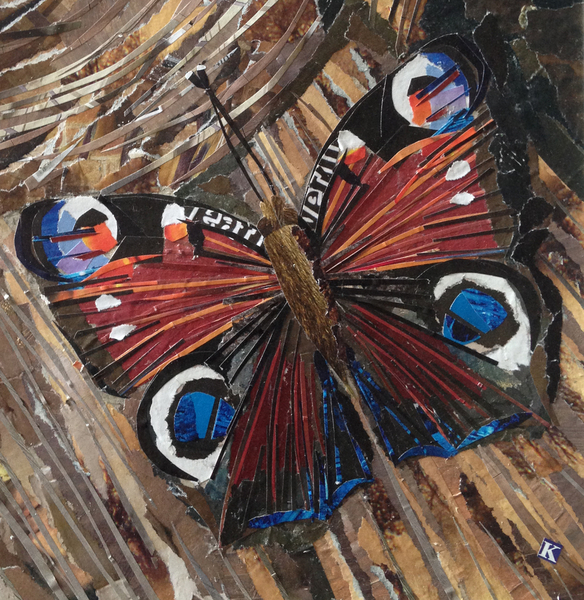 Awaken Peacock Butterfly On Woodpile à Kirstie Adamson