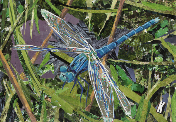 Blue Dragonfly à Kirstie Adamson