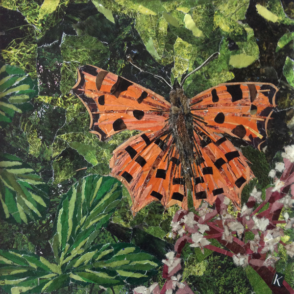 Flutter - Comma Butterfly On Japonica à Kirstie Adamson