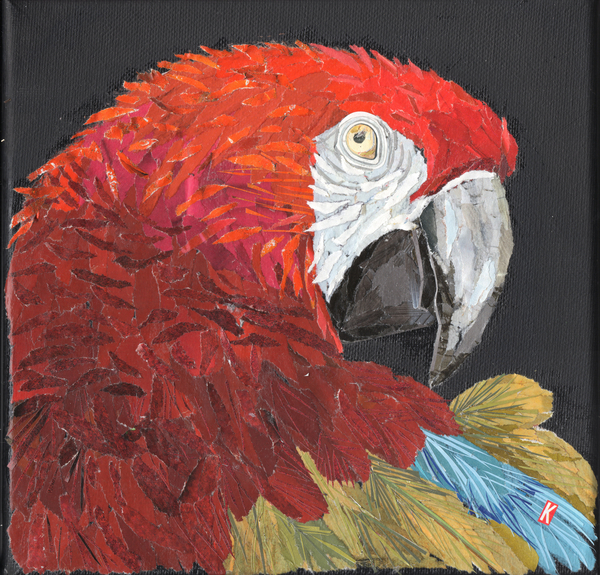 Red Macaw Parrot à Kirstie Adamson