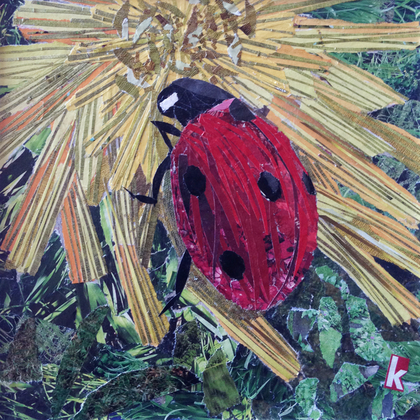 Rise Ladybird On Chrysanthemum à Kirstie Adamson