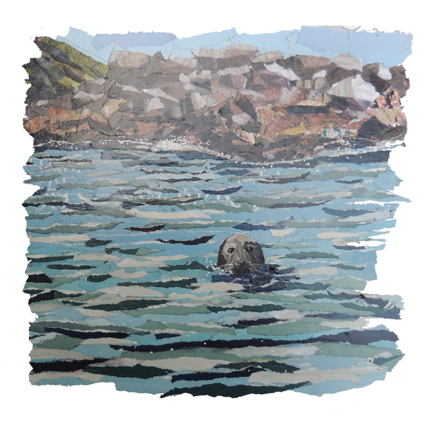 Seal Island à Kirstie Adamson
