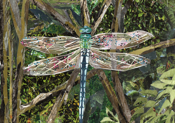 Turquoise Dragonfly à Kirstie Adamson