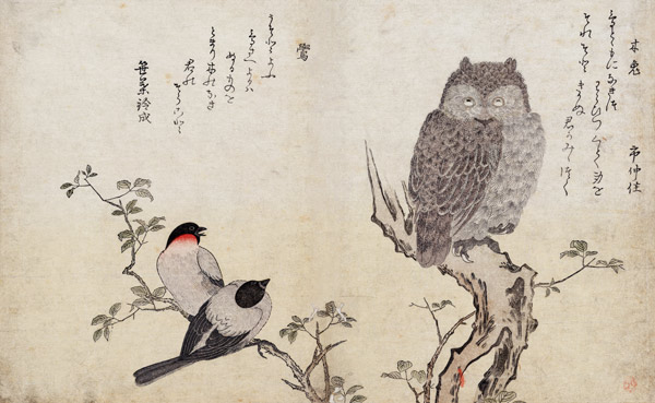 An Owl and two Eastern Bullfinches, from an album 'Birds compared in Humorous Songs, Contest of Poet à Kitagawa  Utamaro