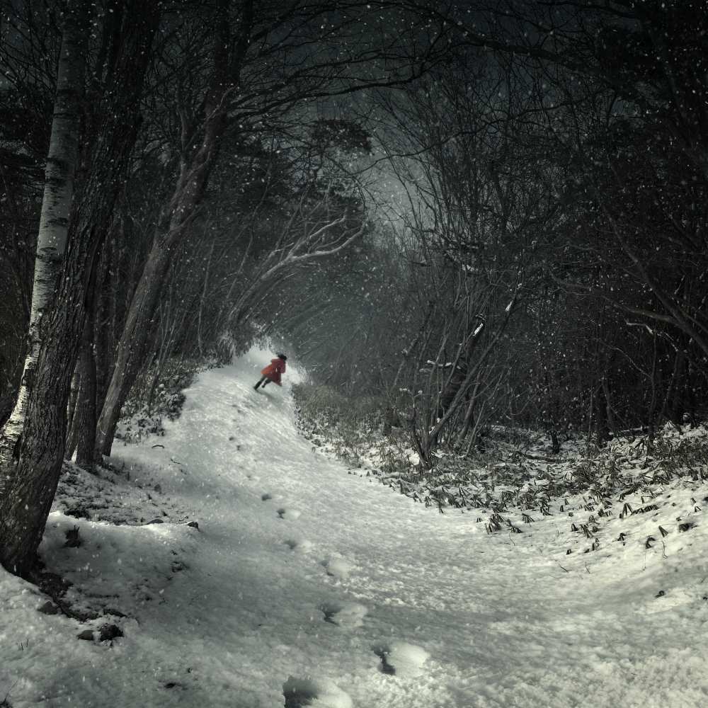 Into the winter forest à Kiyo Murakami