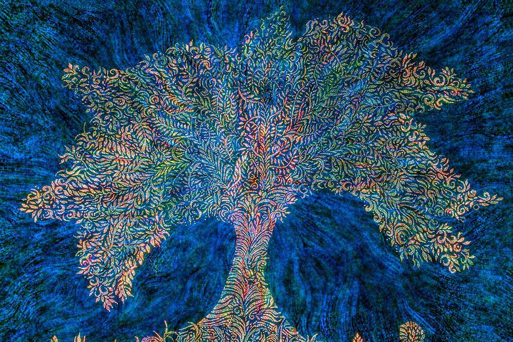 Blue Tree Energy à Klaus Wortmann