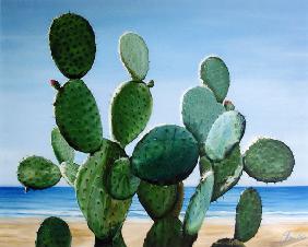 Nopal de la Mar