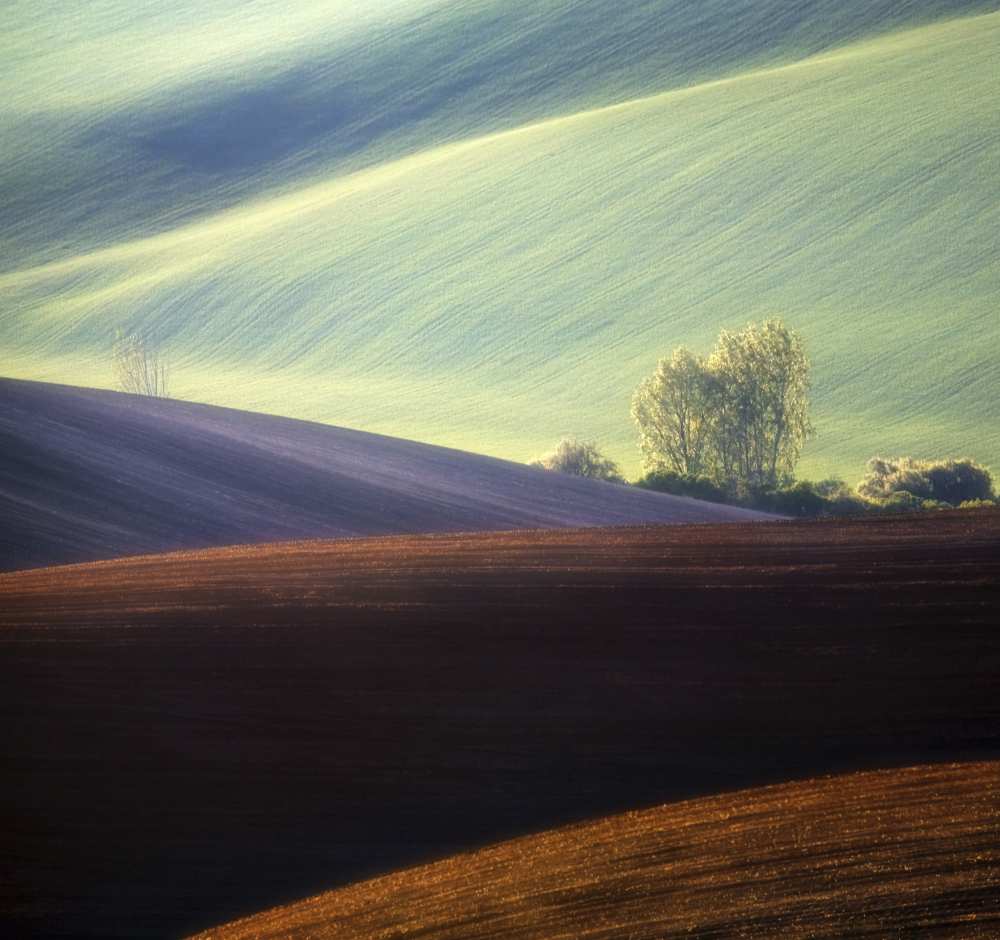 Fields... à Krzysztof Browko