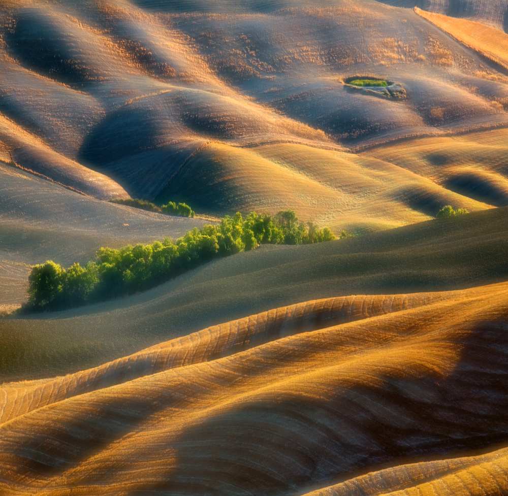 Fields à Krzysztof Browko