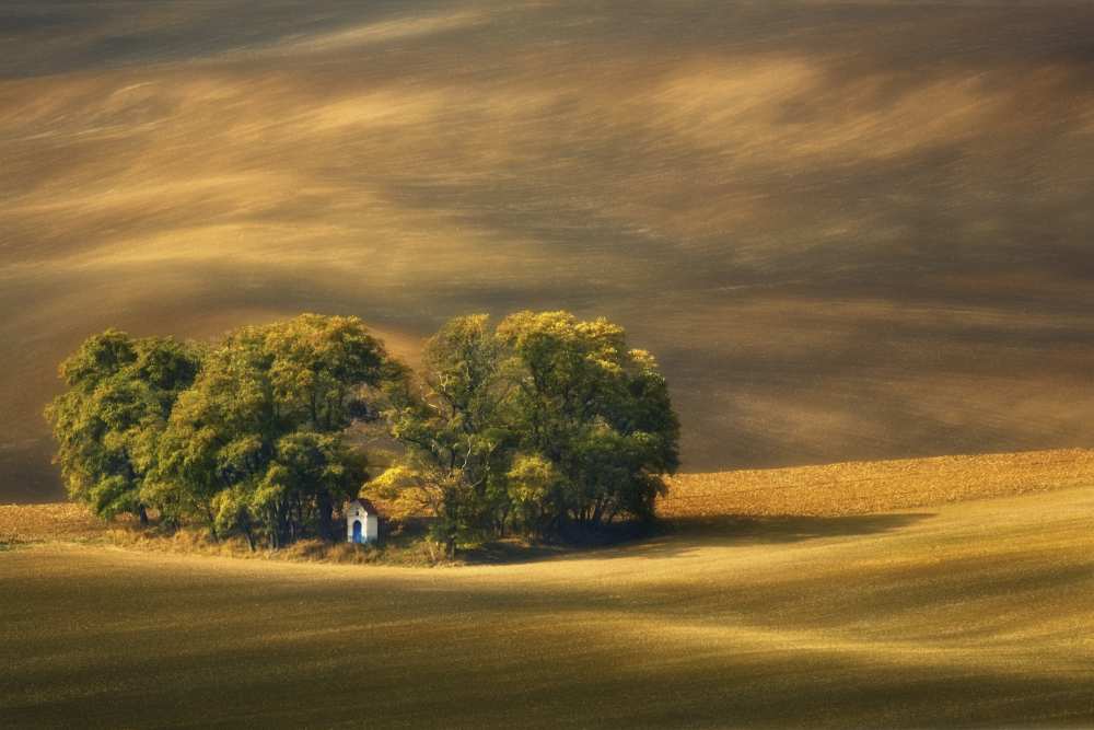 Moravian fields... à Krzysztof Browko