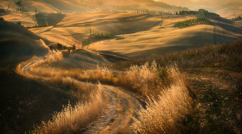 Road... à Krzysztof Browko