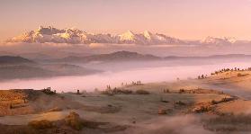 Fog Tatra