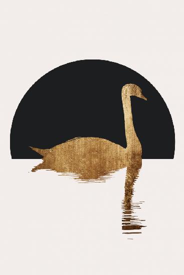 The Swan   Black