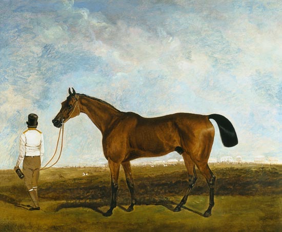 A groom leading a bay racehorse à Lambert Marshall