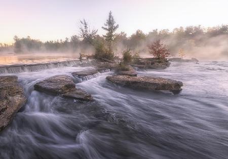 Morning mist