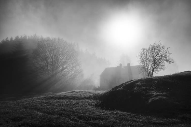 Pastoral Song à Lars Arvid Helleb?