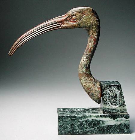 Head of an ibis à Late Period Egyptian