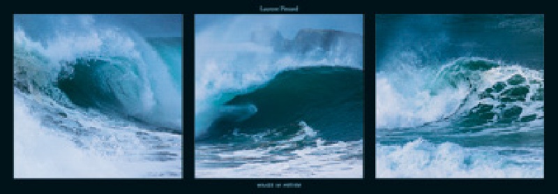 Waves in motion à Laurent Pinsard