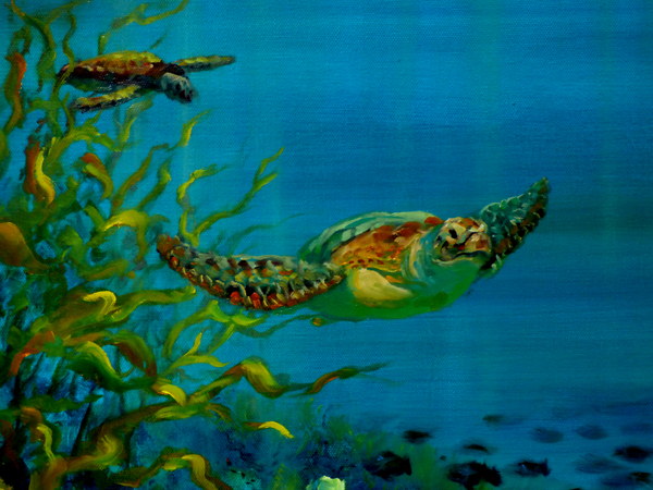 Green Turtle à Lee Campbell