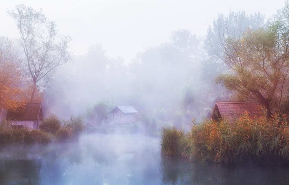 Foggy Mornings on the Lake à Leicher Oliver