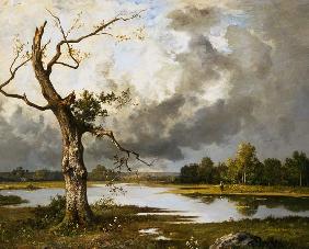 Paysage de fleuve français avec l'arbre mourant.