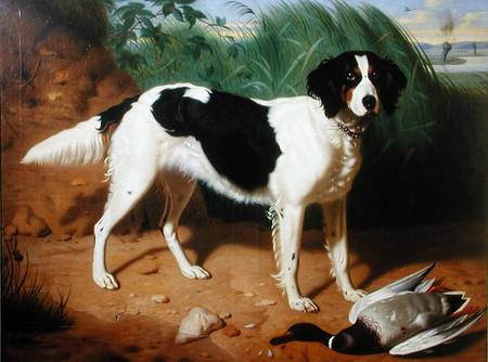 Portrait of a Dog à Leon Viardot