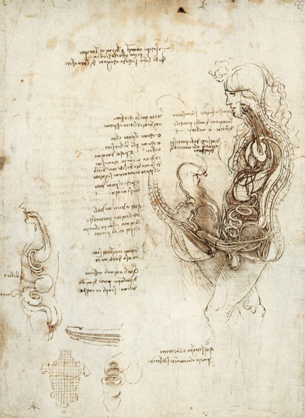 Coition of Hemisected Man and Woman, facsimile copy  & à Léonard de Vinci