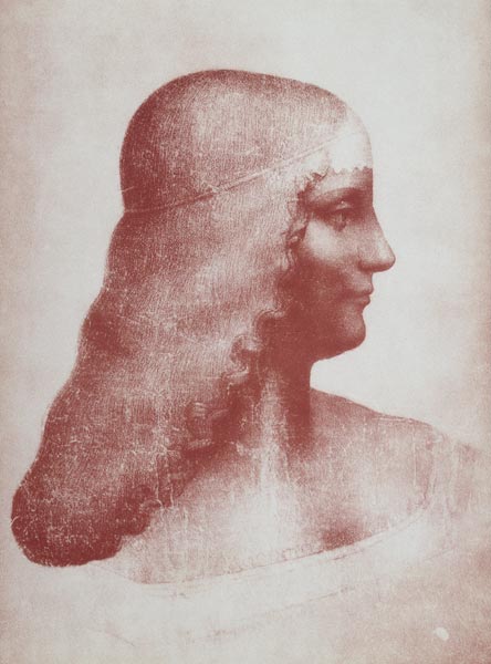 Head of a Woman in Profile à Léonard de Vinci