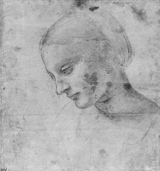 Head of a Young Woman or Head of the Virgin à Léonard de Vinci