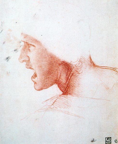 Study of a Warrior's Head for the Battle of Anghiari à Léonard de Vinci