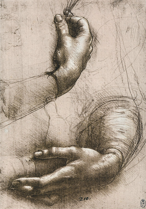 Studie der Hände einer Frau à Léonard de Vinci