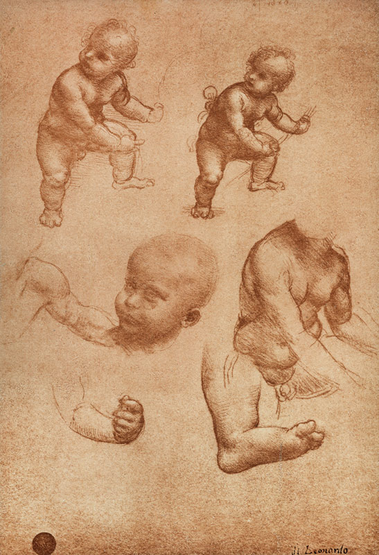 Study for a Portrait of a Child à Léonard de Vinci