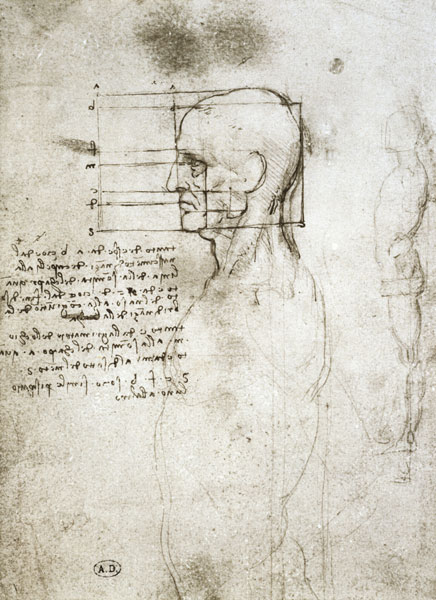 Head of an Old Man in Profile, facsimile copy  and à Léonard de Vinci