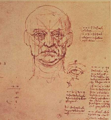 Drawing of the proportions of the head and eye à Léonard de Vinci