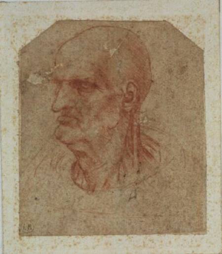 Head of a beardless old man, left profile à Léonard de Vinci