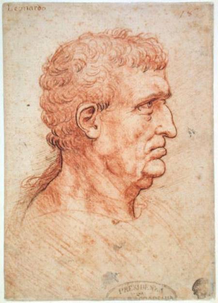Head of a Man in Profile à Léonard de Vinci
