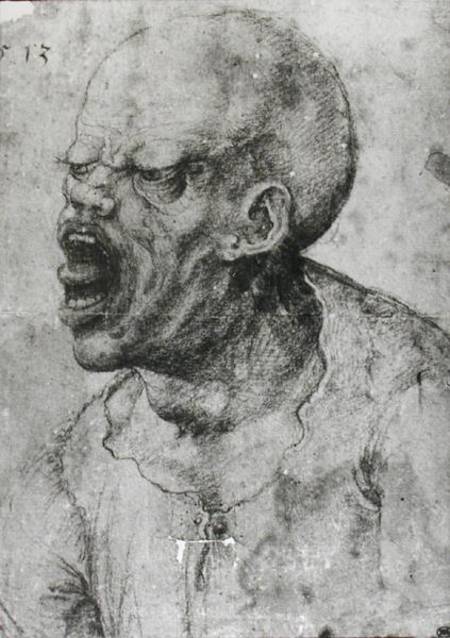 Portrait of a Man Shouting à Léonard de Vinci