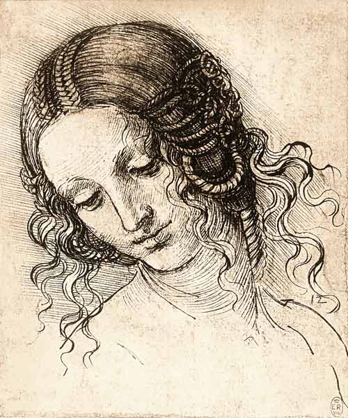 Studienblatt mit weiblichem Kopf (Leda) à Léonard de Vinci