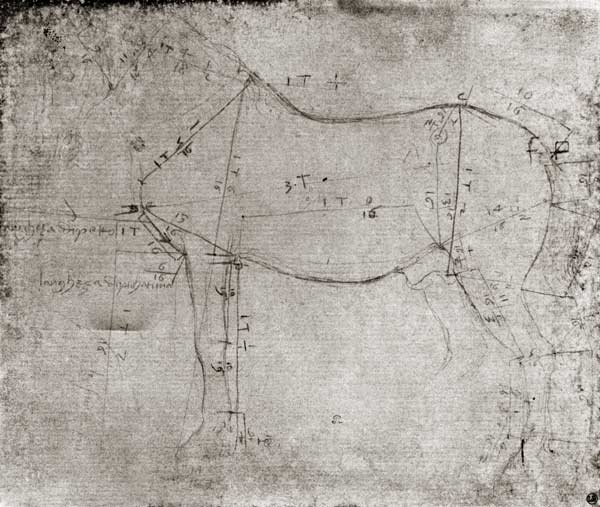 Study of a Horse à Léonard de Vinci