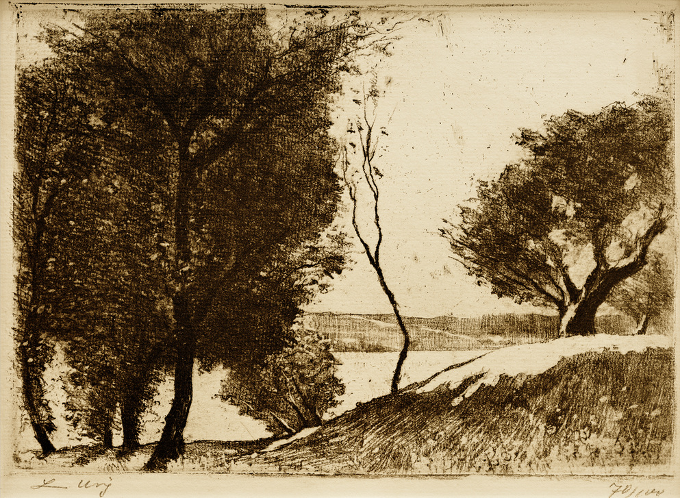 Baumbestandenes Ufer am märkischen See à Lesser Ury
