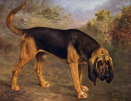 The Bloodhound Champion Hengist