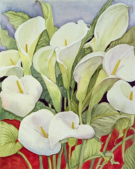 Arum Lillies, 1978 (watercolour) à Lillian  Delevoryas