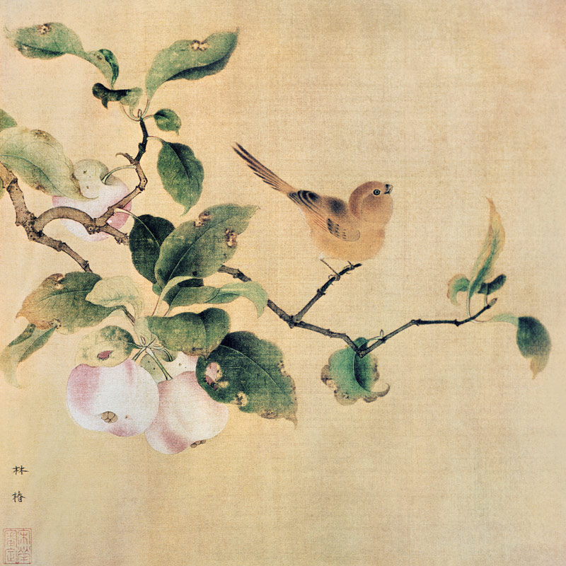 Vogel und reifende Aepfel à Lin-Tschun, peintre chinois du Sung-Zeit