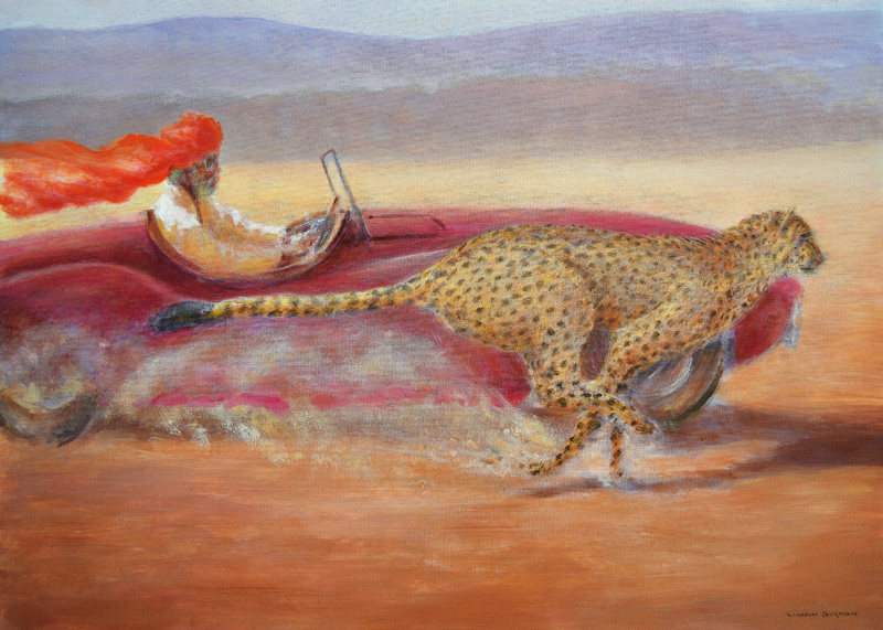 Cheetah versus Jaguar à Lincoln  Seligman