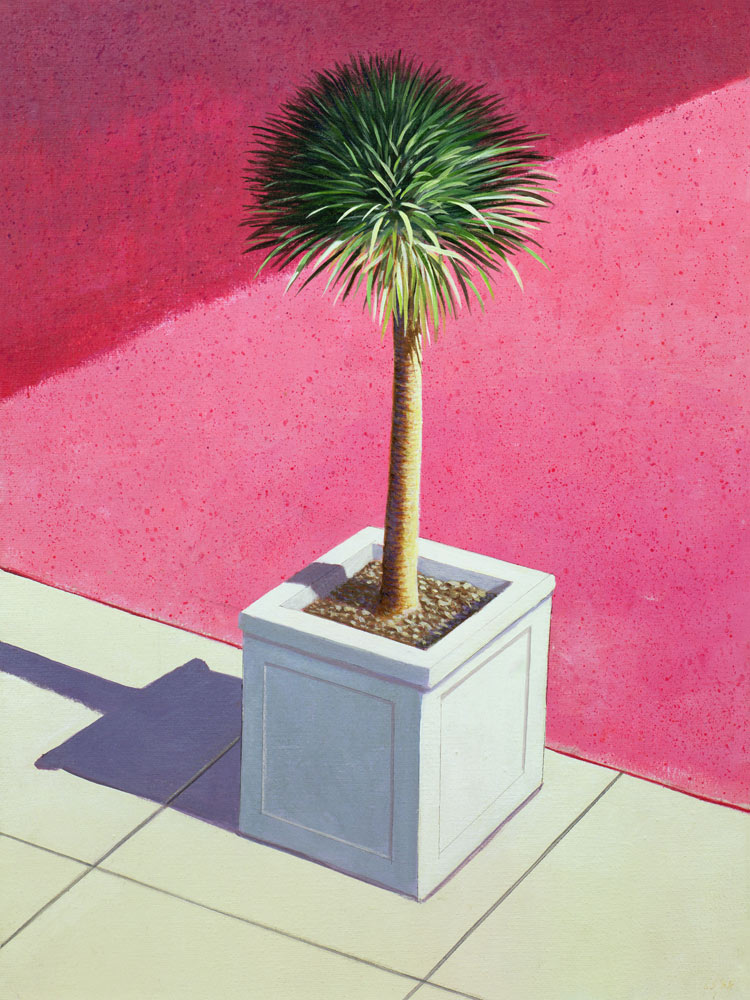 Small palm, 1995 (acrylic on canvas)  à Lincoln  Seligman
