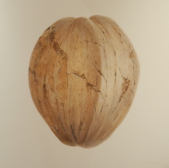Coconut, Sri Lanka à Lincoln  Seligman