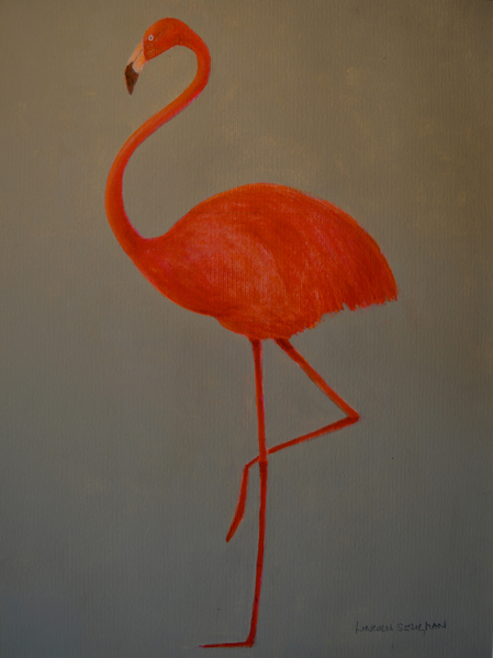 Flamingo à Lincoln  Seligman