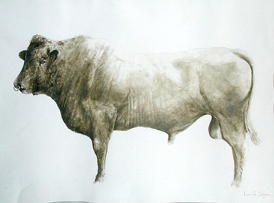 Islay Bull, 2004 (acrylic on canvas)  à Lincoln  Seligman