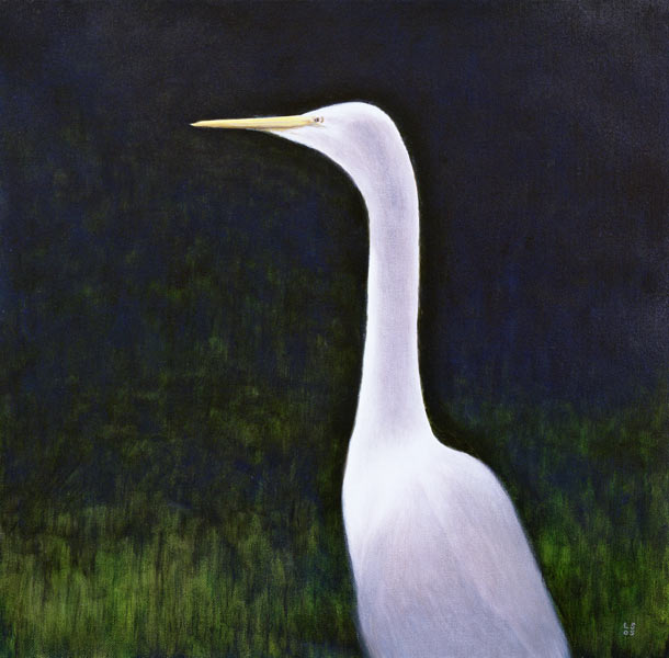 White Egret (oil on canvas)  à Lincoln  Seligman